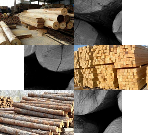 百年品質(zhì)傳承，源于每一環(huán)節(jié)的考究